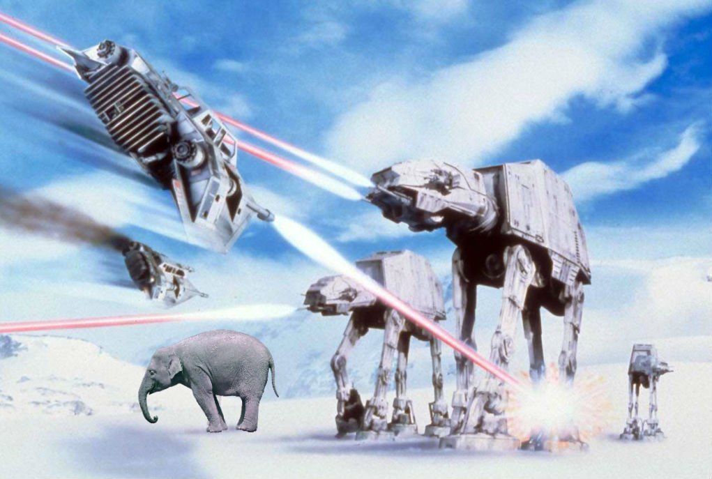 elephant entry3.jpg