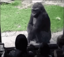 SuchAHumanWayToBehaveGIF.gif