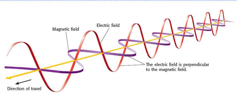 2wave_anatomy.gif