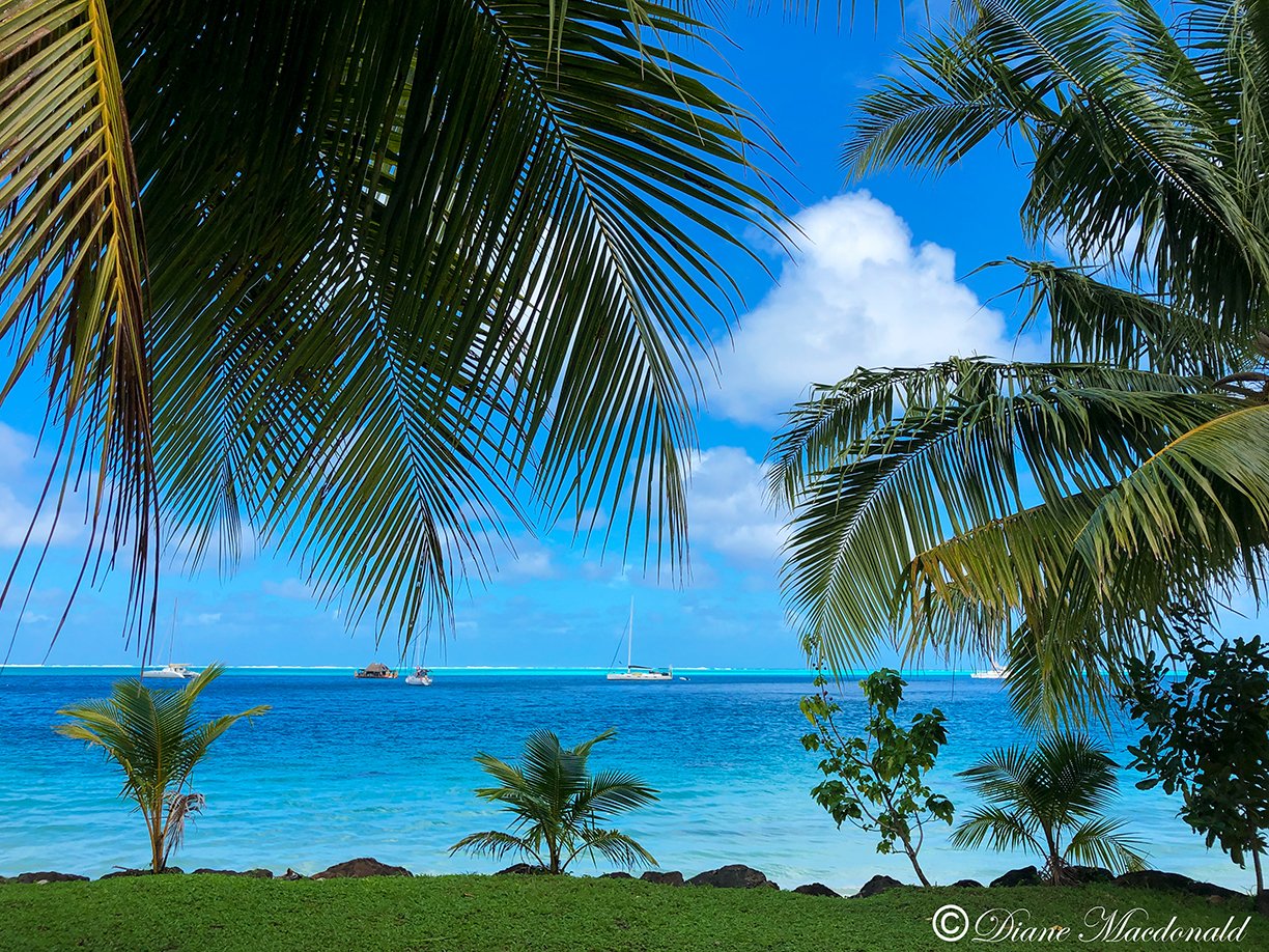 Avea  Bay Huahine.jpg