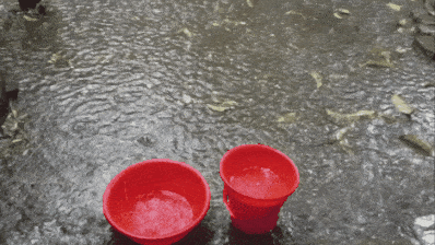 GIF_20250416_203527_988.gif
