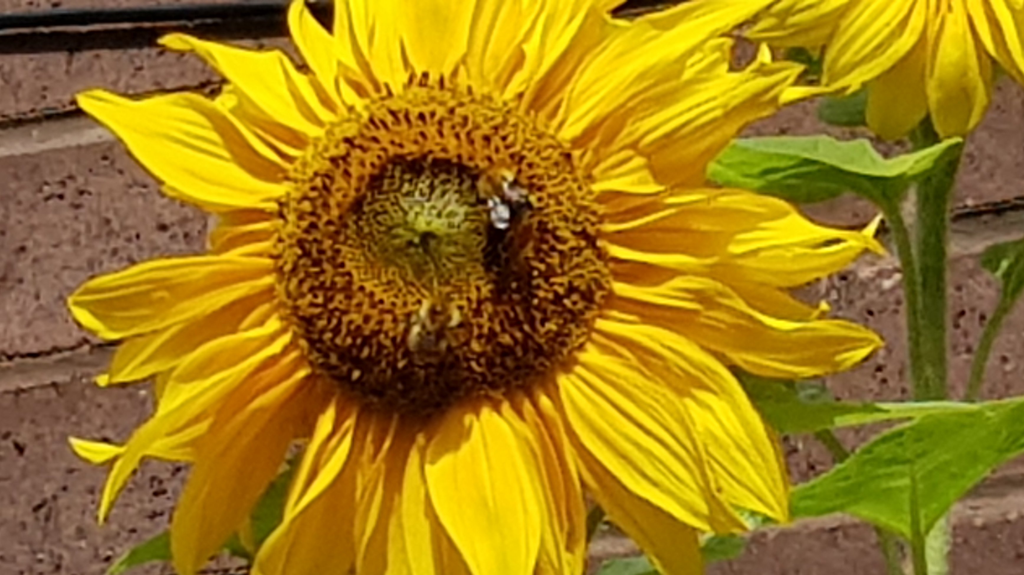 20180830_133501.jpg