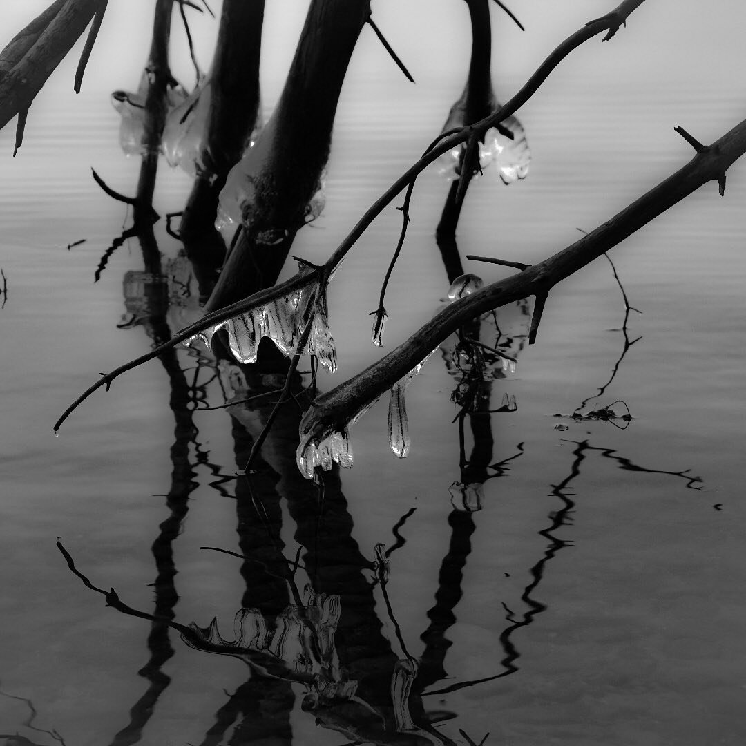 jfphoto_bnw_1621504325683.jpg