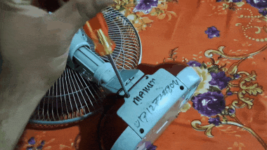 1000033269.gif