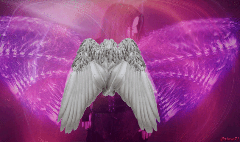 pheonix 3 reverse (805px, 12fps).gif