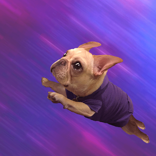giphy (1).gif