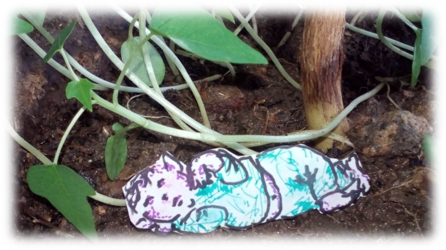 24 veinticuatro A.jpg