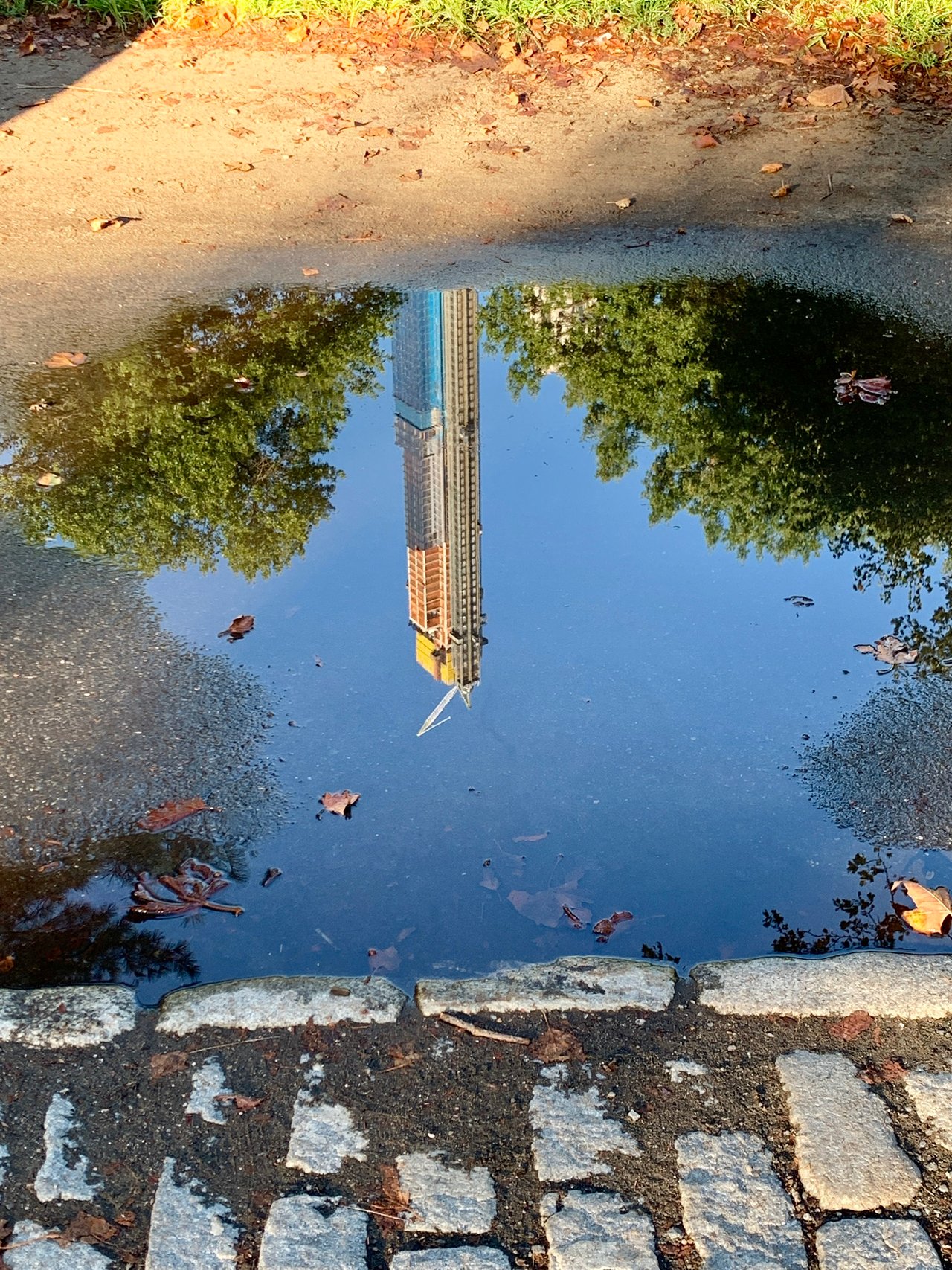 2C6836E6-7F83-420F-B042-47157DD9F66A.jpeg