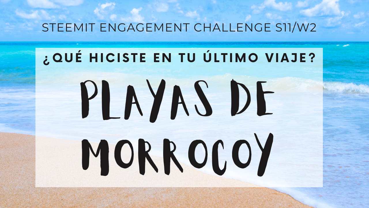 Steemit Engagement Challenge S11W2 - ¿Qué hiciste en tu último viaje.png