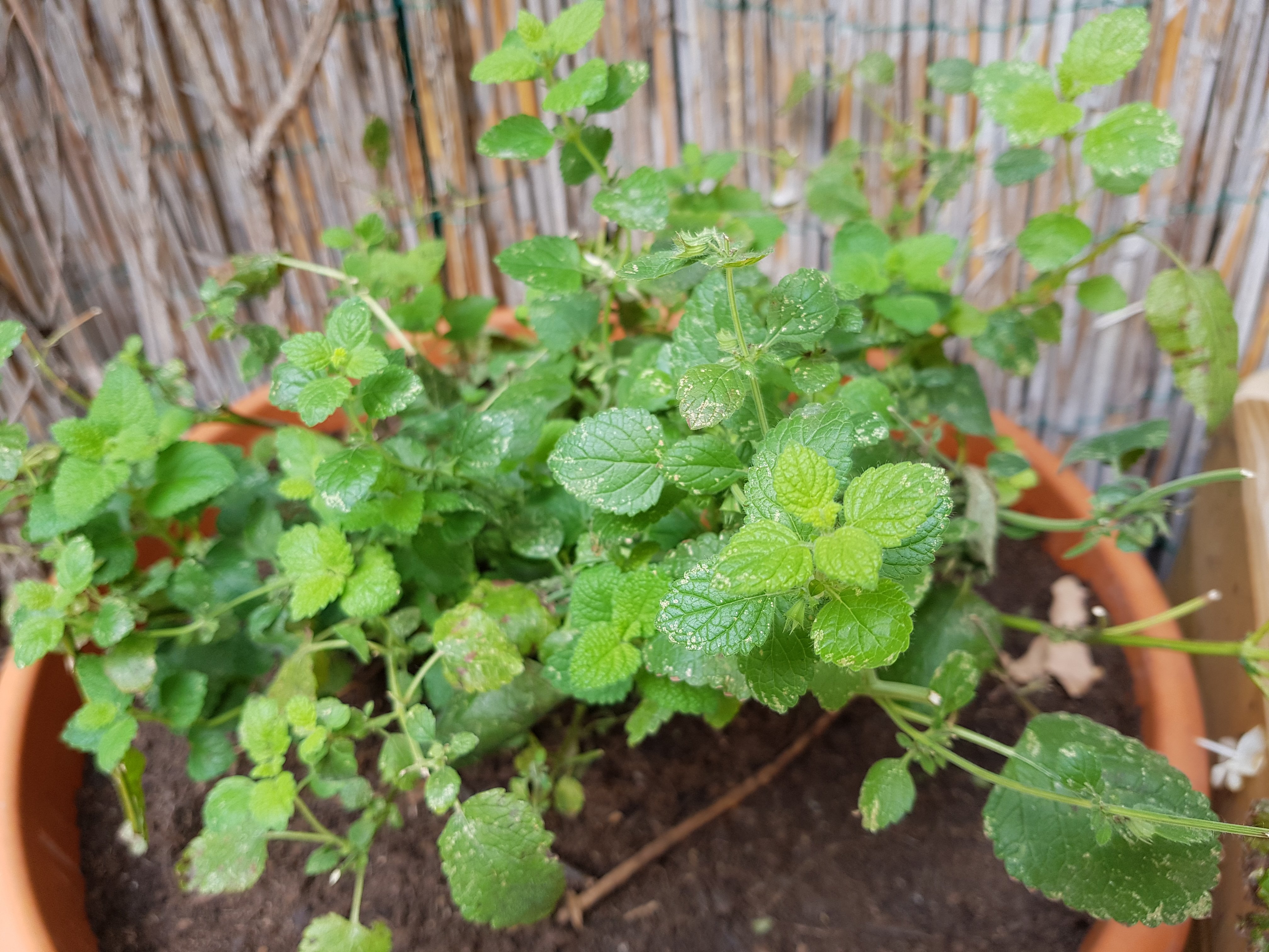 20180910_110347.jpg