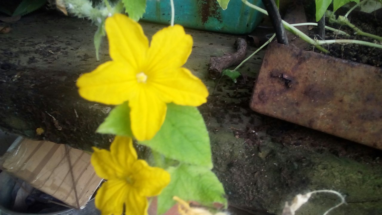 20210817_112725.jpg