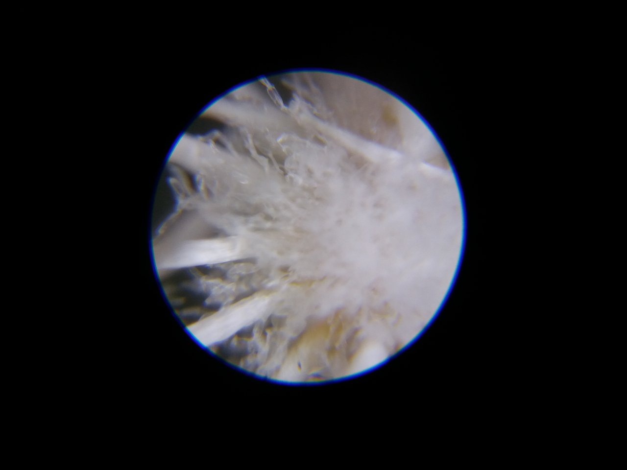 20180914_090931.jpg