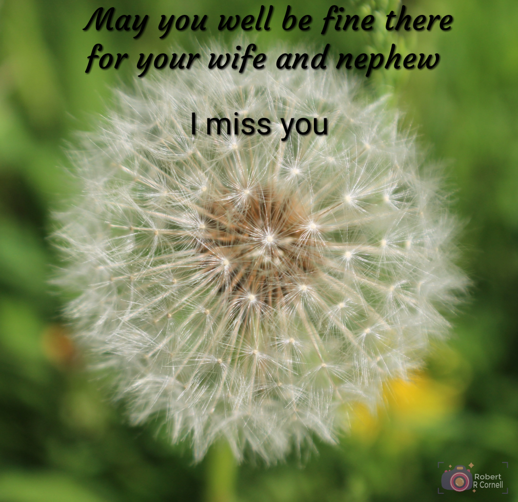 IMG_20180527_220632.png