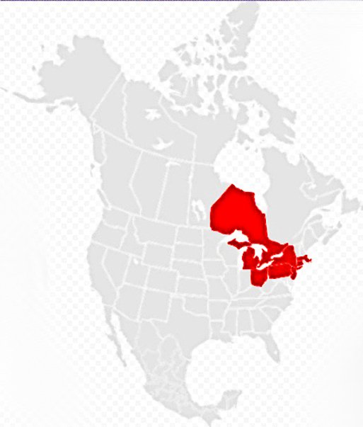 northeast blakcout 2003.jpg