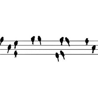 aves.jpg