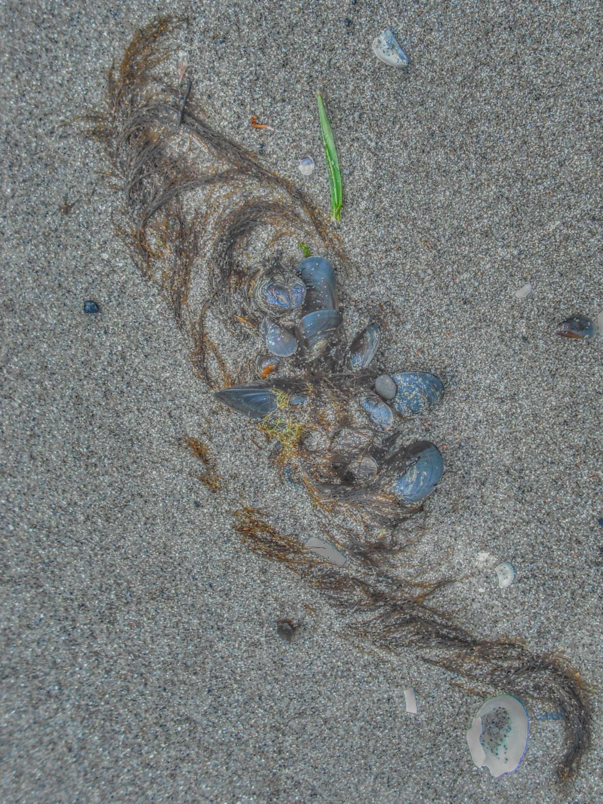 DSCF3787.jpg