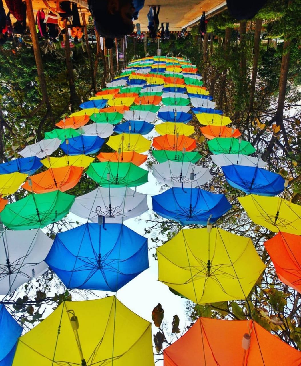 umbrellas.jpeg