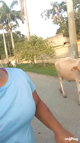 1000094644.gif