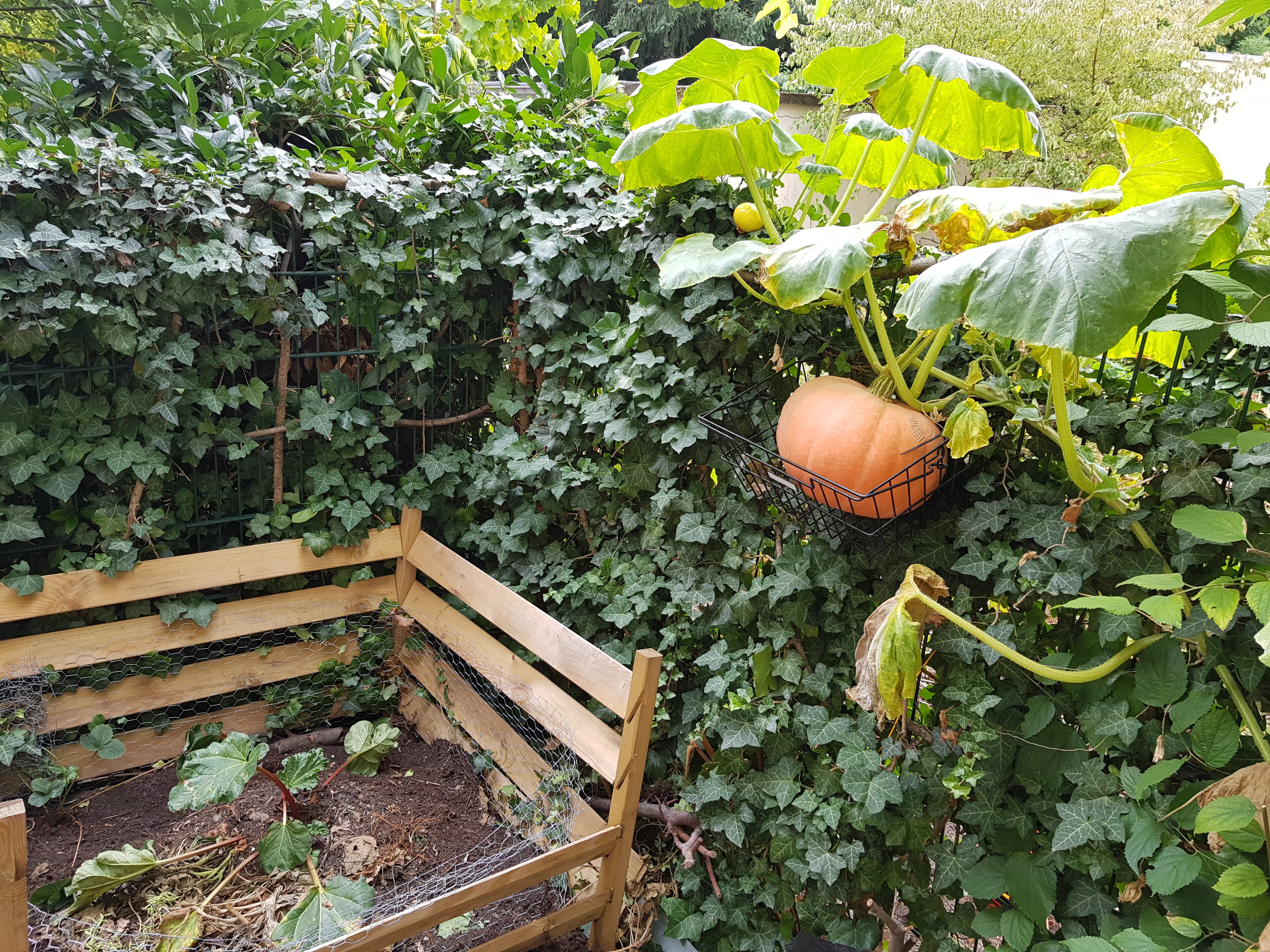 20180910_110308.jpg