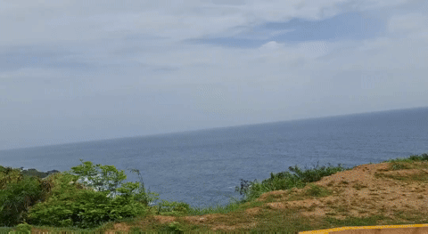 1000216109.gif