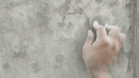 IMG_20250306_074430.gif