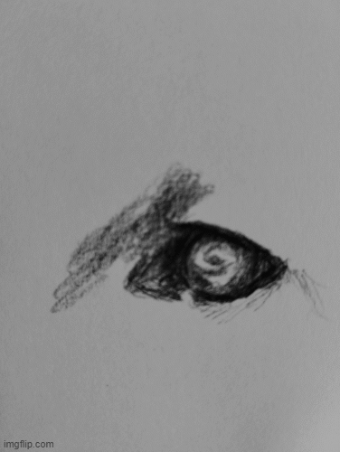 9xb9sn.gif