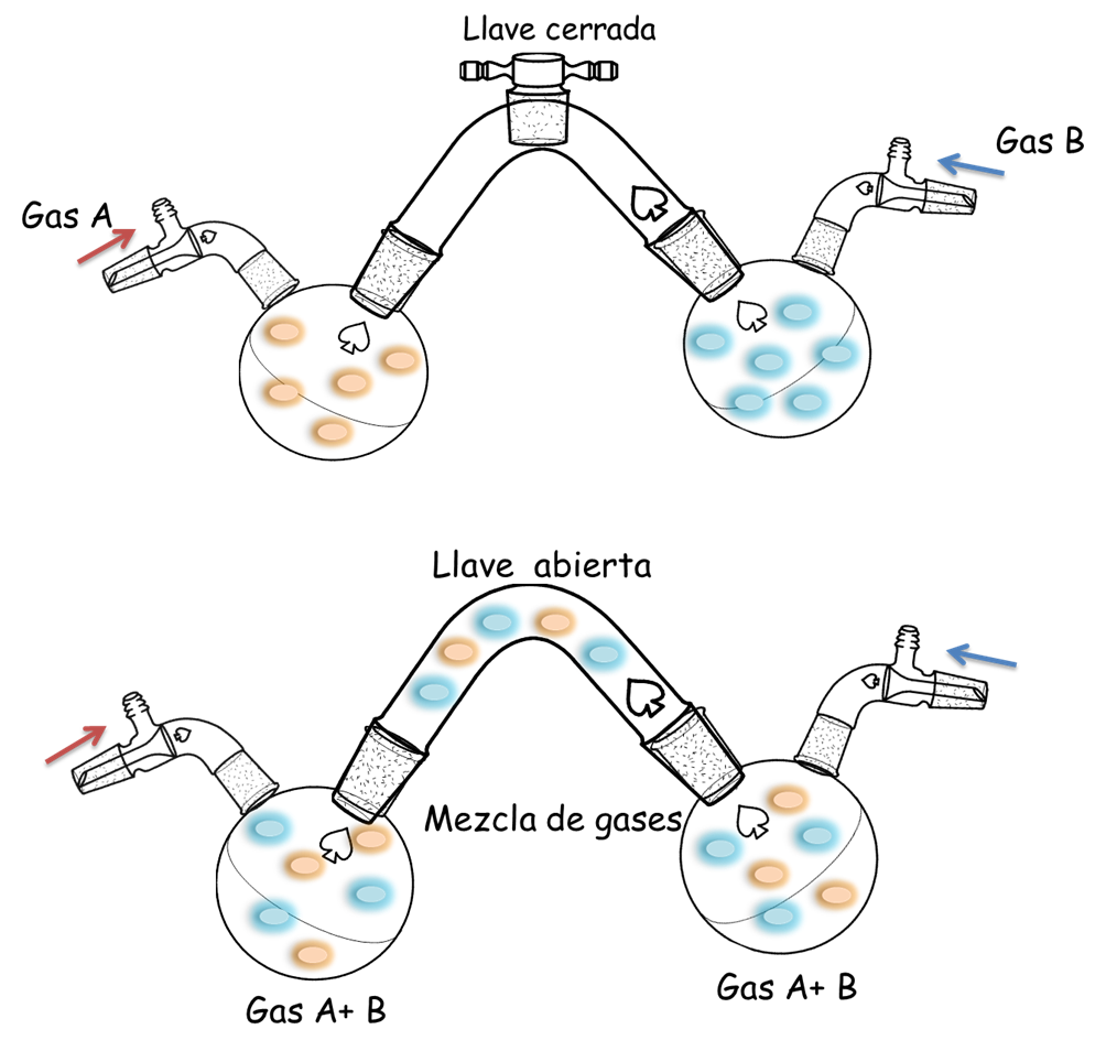 difusion de gases.png