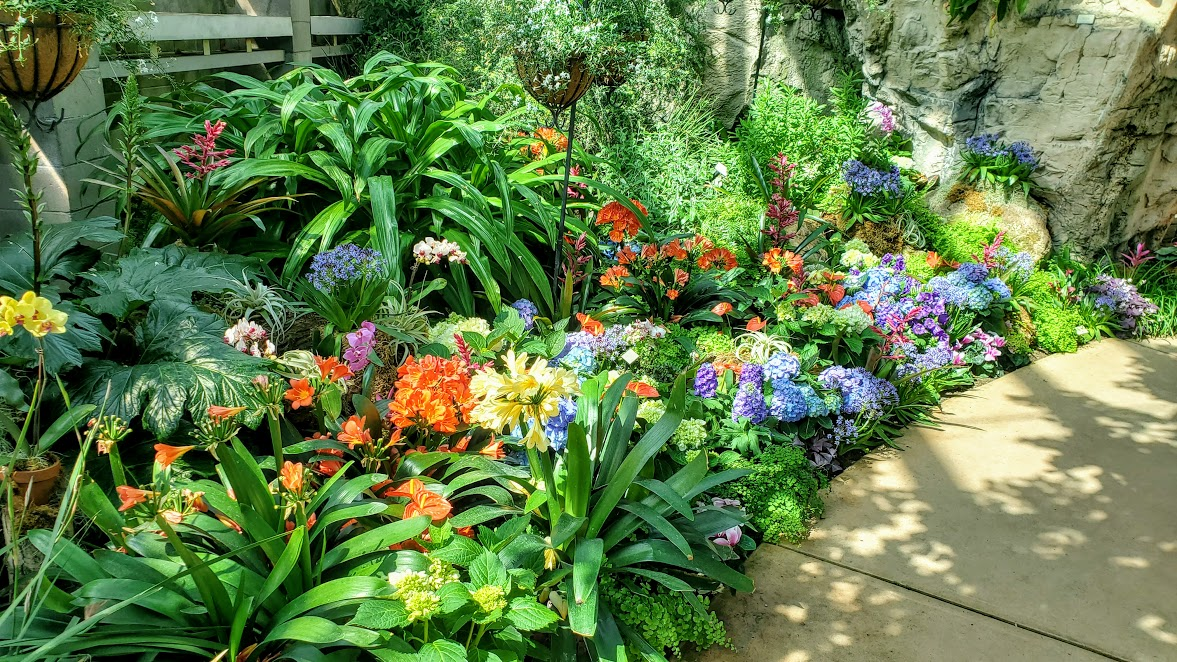 Spring Flower Show At The Abq Botanical Gardens