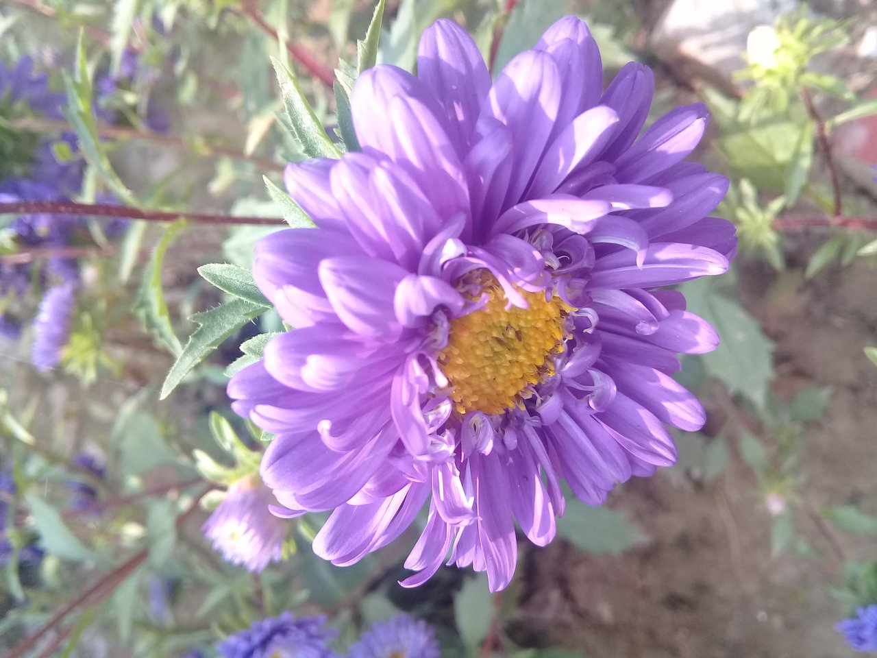 20190218_105049.jpg