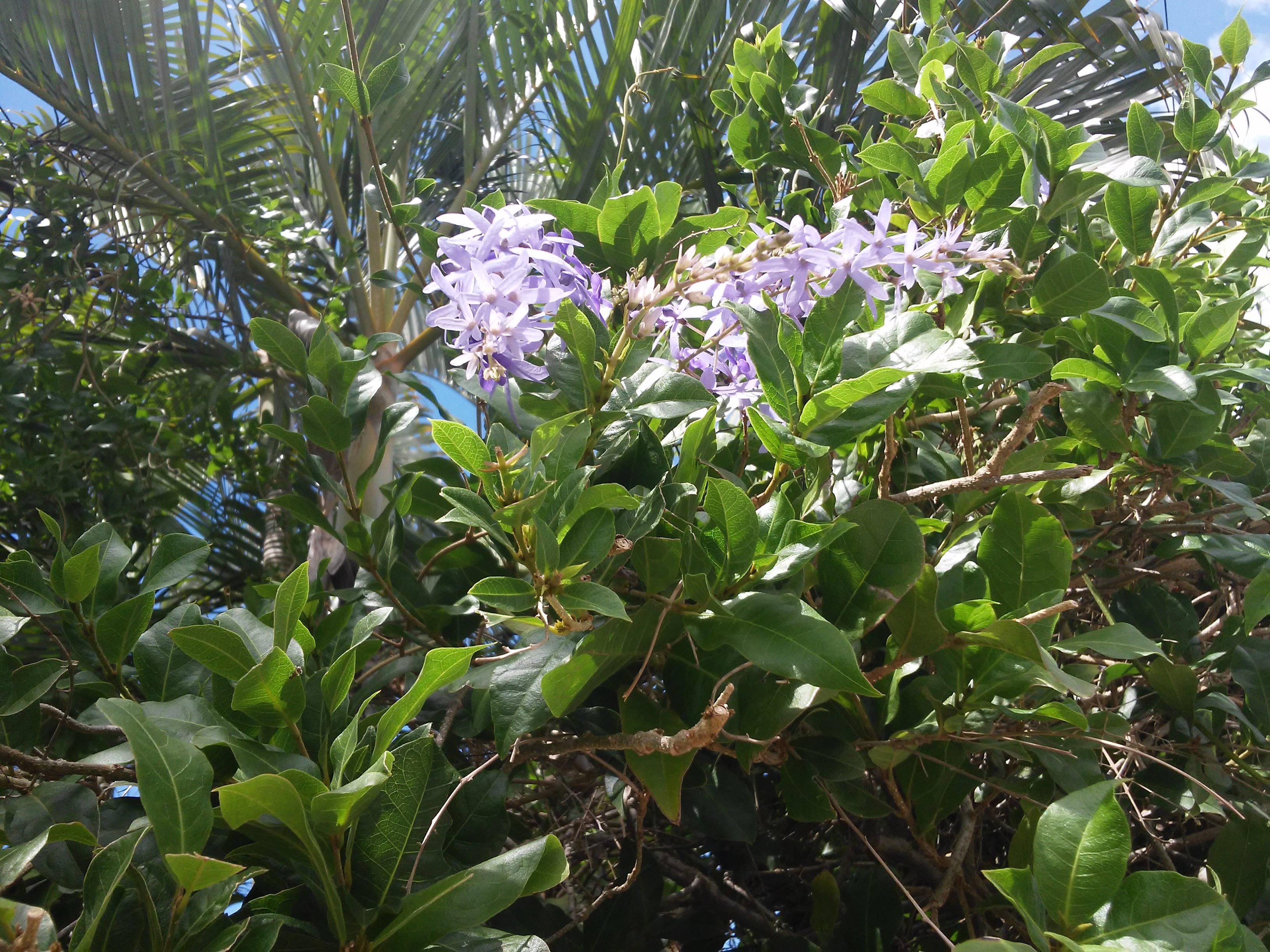 20180908_122739.jpg