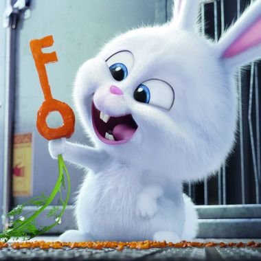 The Secret Life Of Pets Full Movie Hd Online Stream Steemkr