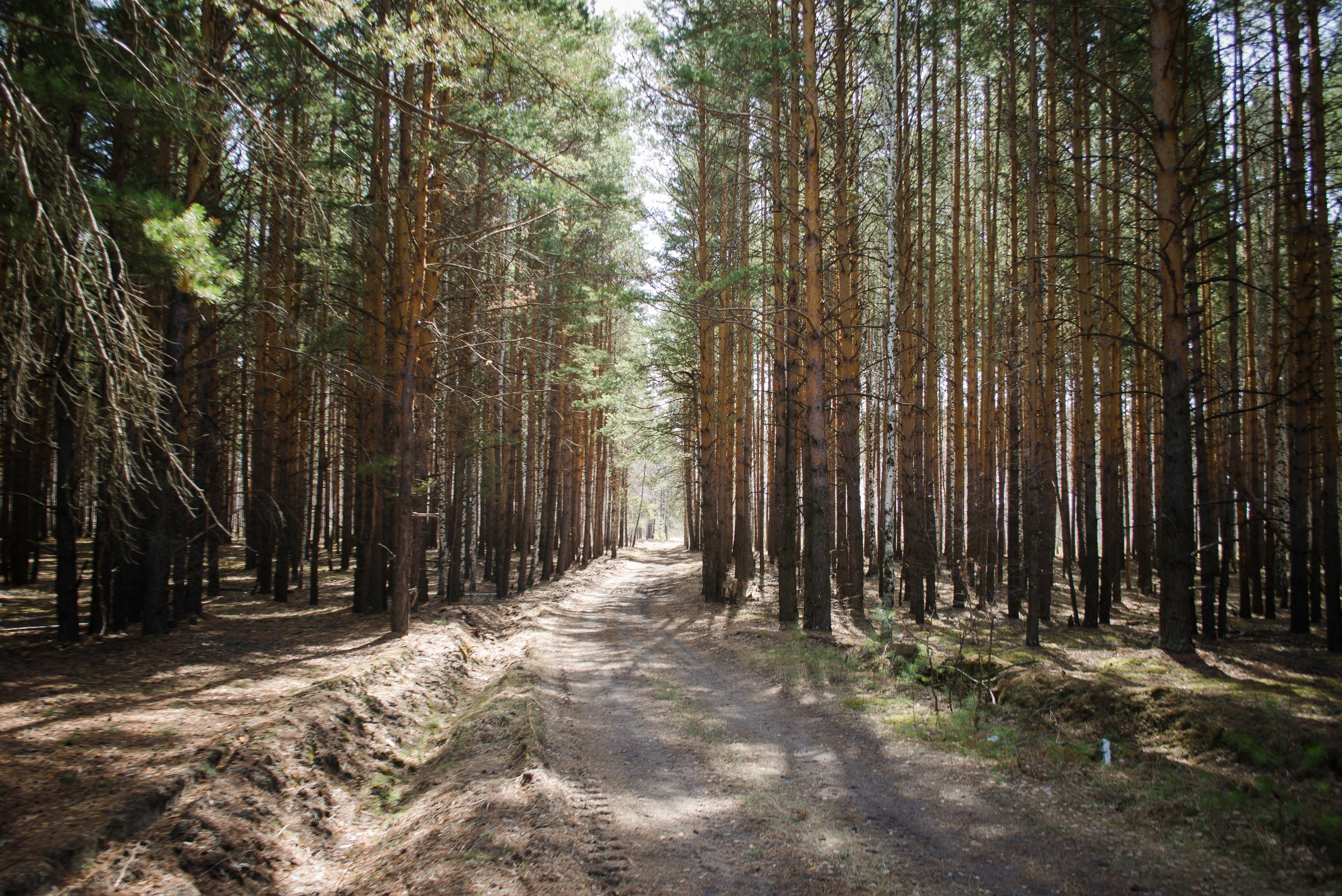 Naturephotography: Travel to the nature of Russia #33 — Steemit