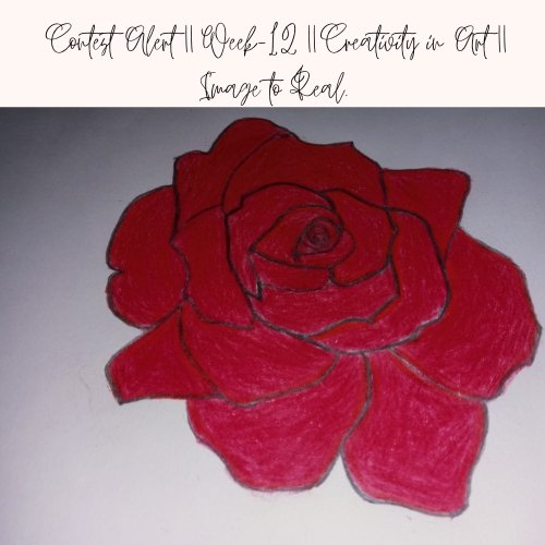 Red Rose Feminine Flower Logo (1).jpg