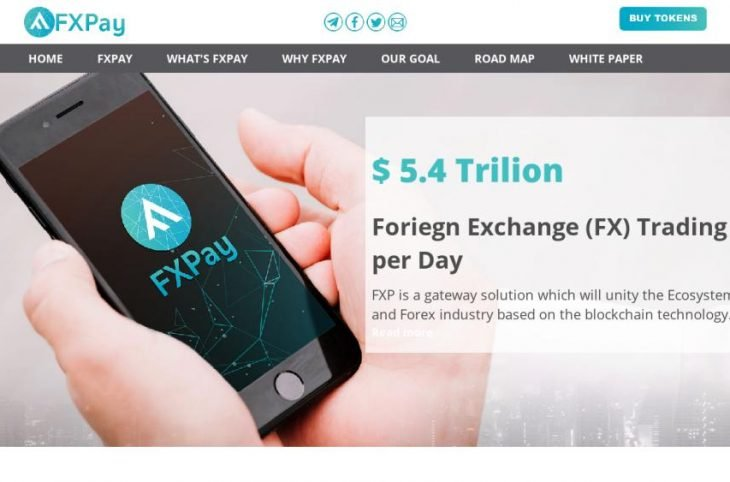 Fxpay Foreign Exchange Trading Platform - 