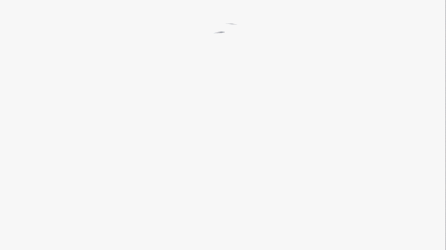 (1).gif