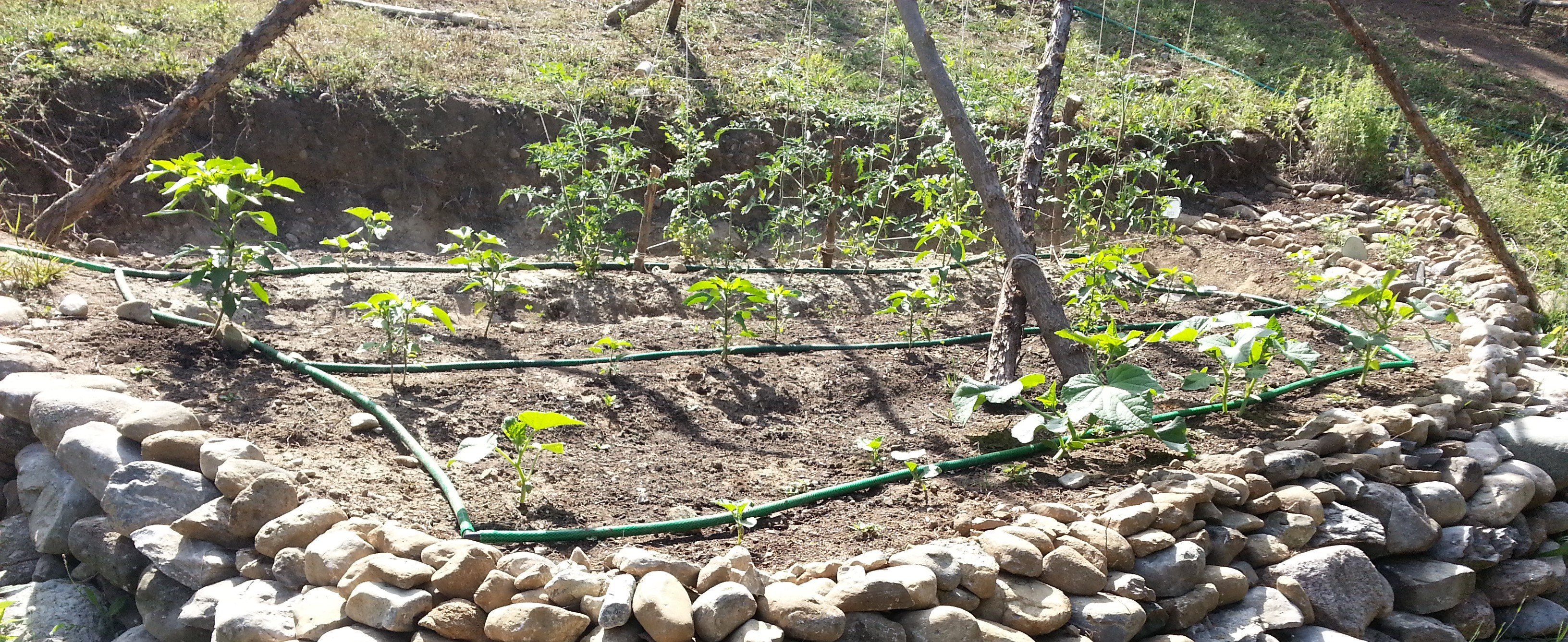 garden_terrace_before_compost.jpg