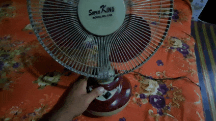 1000033271.gif