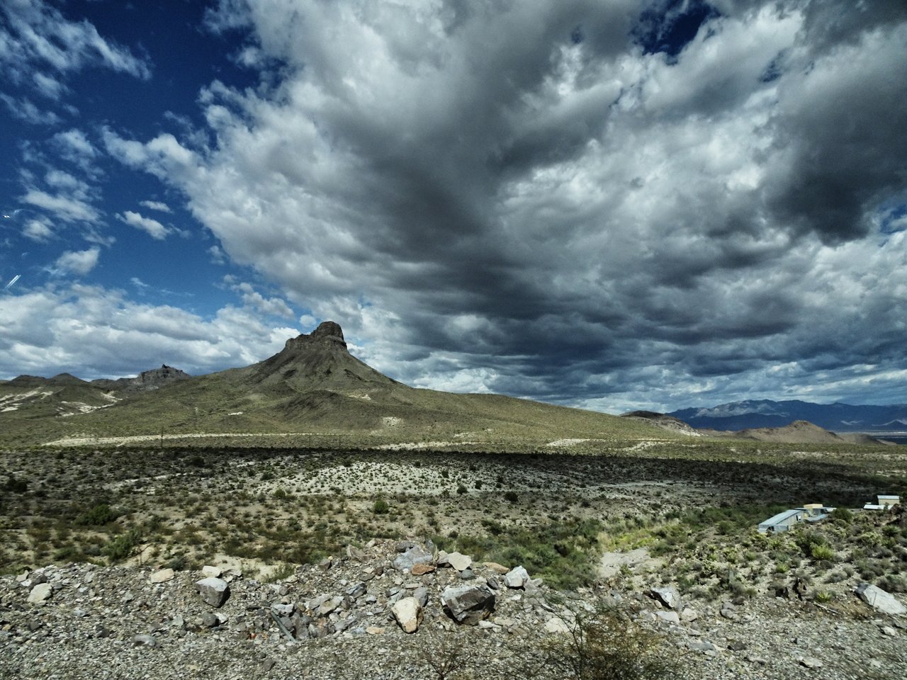 Oatman1.jpg