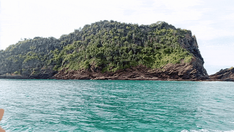 GIF_20250727_121129_436.gif