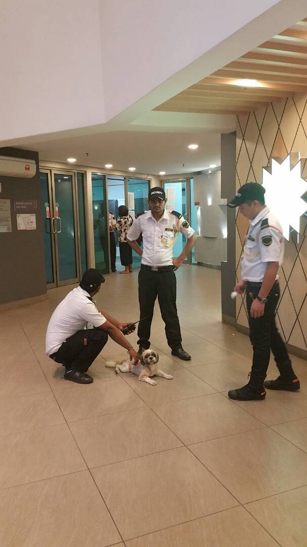 WhatsApp Image 2018-07-21 at 16.18.26 (1).jpeg