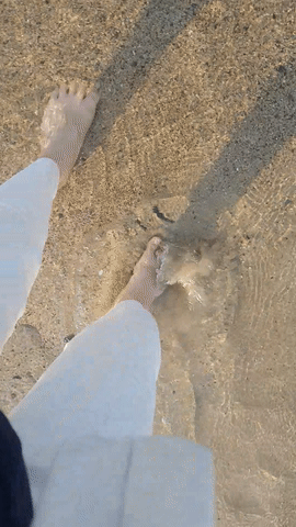 ezgif.com-video-to-gif.gif
