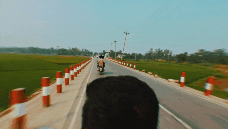 1000021009.gif