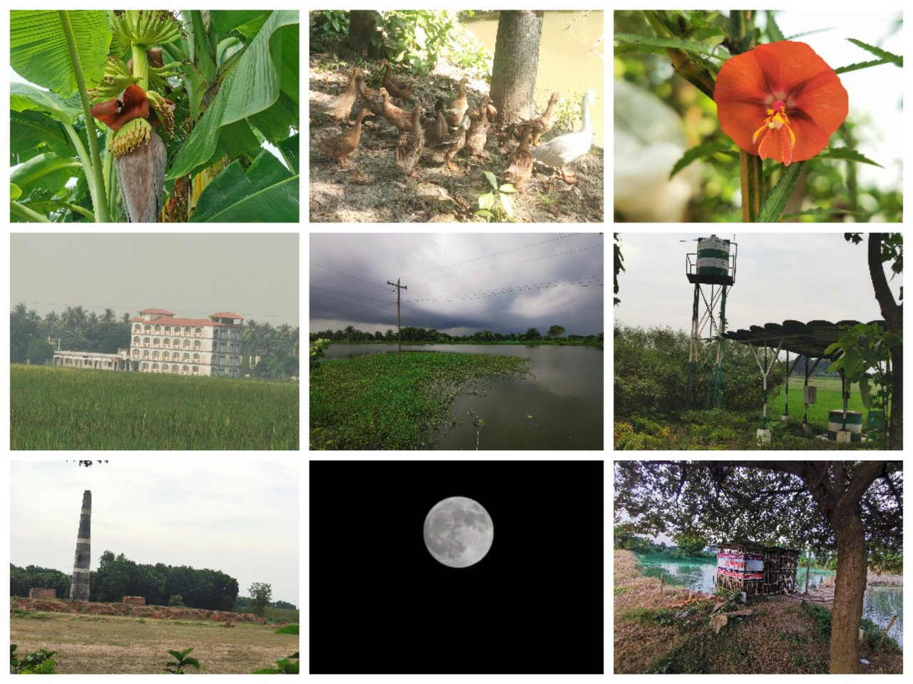 Collage_20241115_203336.jpg