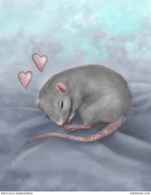 Baby Fufunchi - by Priscilla Hernandez (yidneth.com).jpg