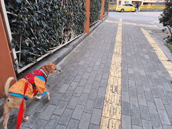 1000029789.gif
