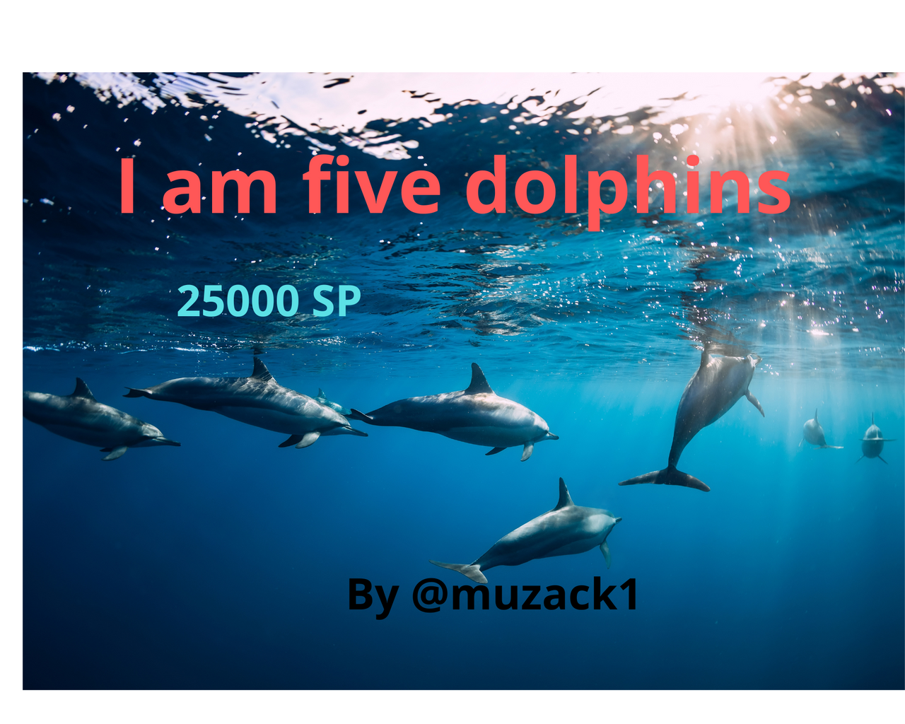 I am five dolphins.png