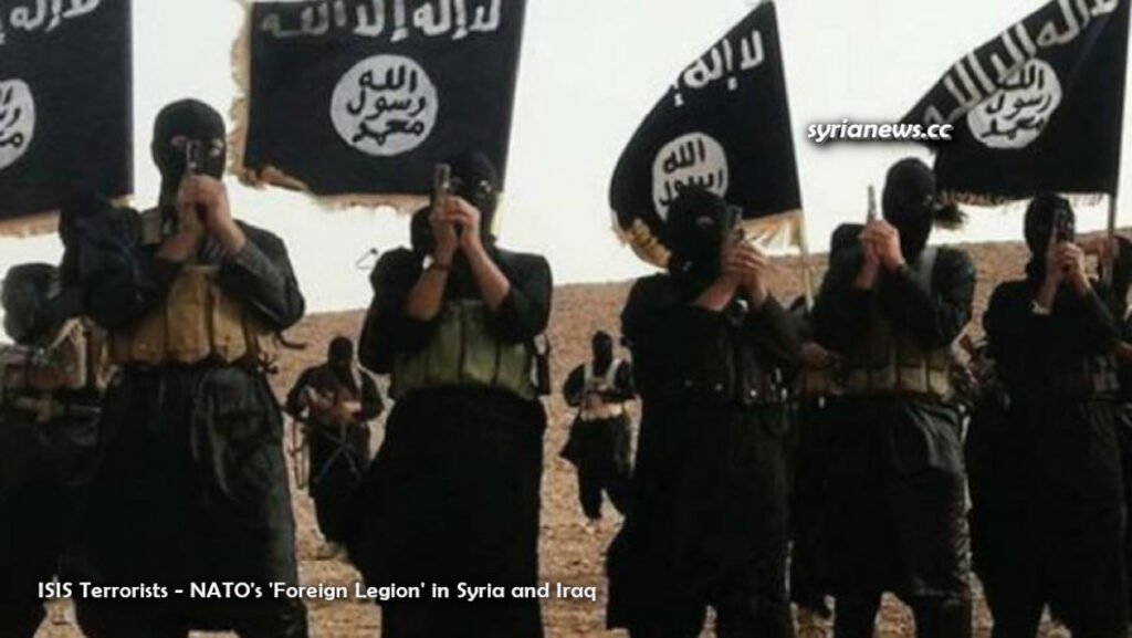 ISIS-terrorists-NATO-foreign-legion-in-Syria-and-Iraq.jpg