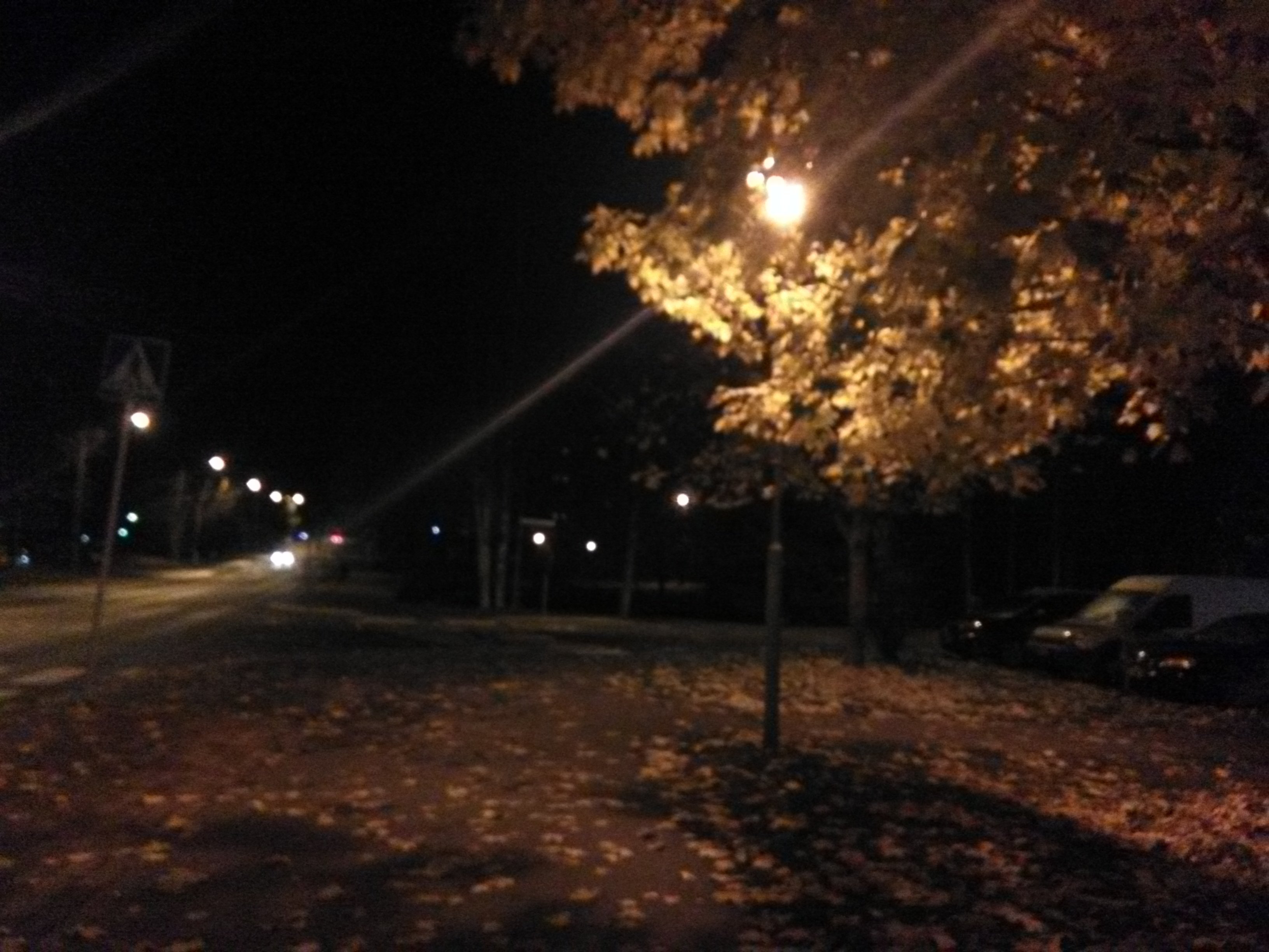 20181019_200515.jpg