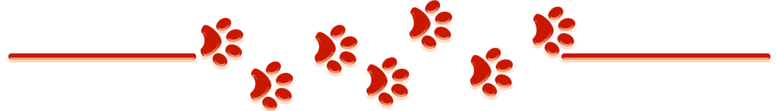 paws.png