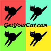 FaceBook-Profile-Get-Your-Cat.jpg